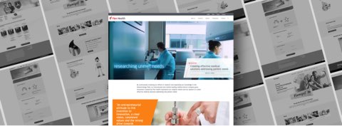 Flen Health Webdesign Kollage